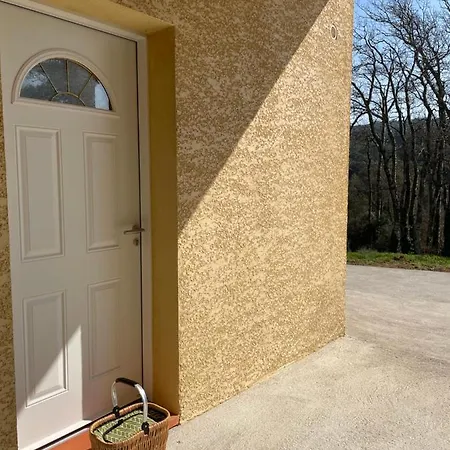 Proche Et Foret * Carcassonne