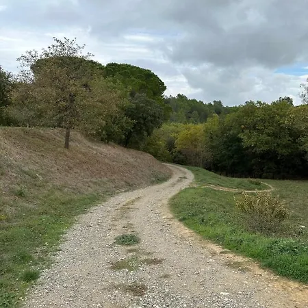 Proche Et Foret Daire