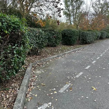 Proche Et Foret * カルカソンヌ