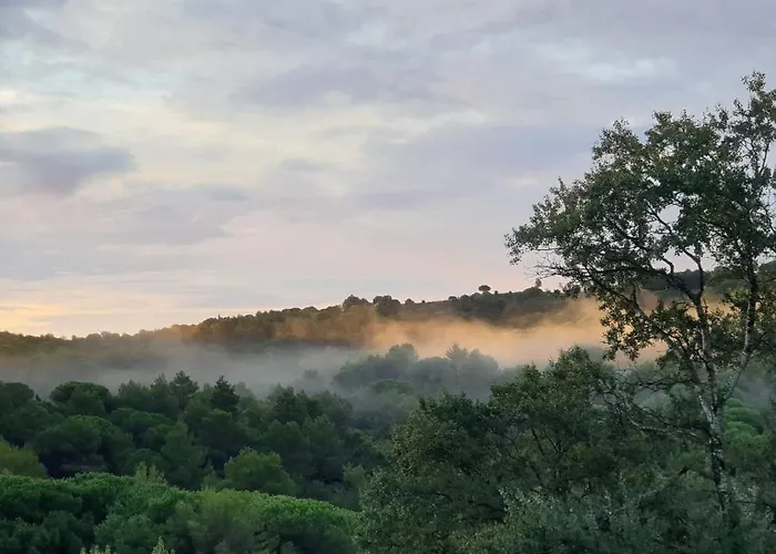 Apartament Proche Et Foret