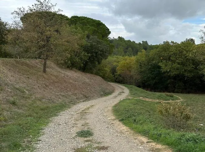 Proche Et Foret Apartament