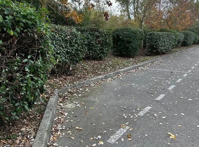 Proche Et Foret * Carcassonne